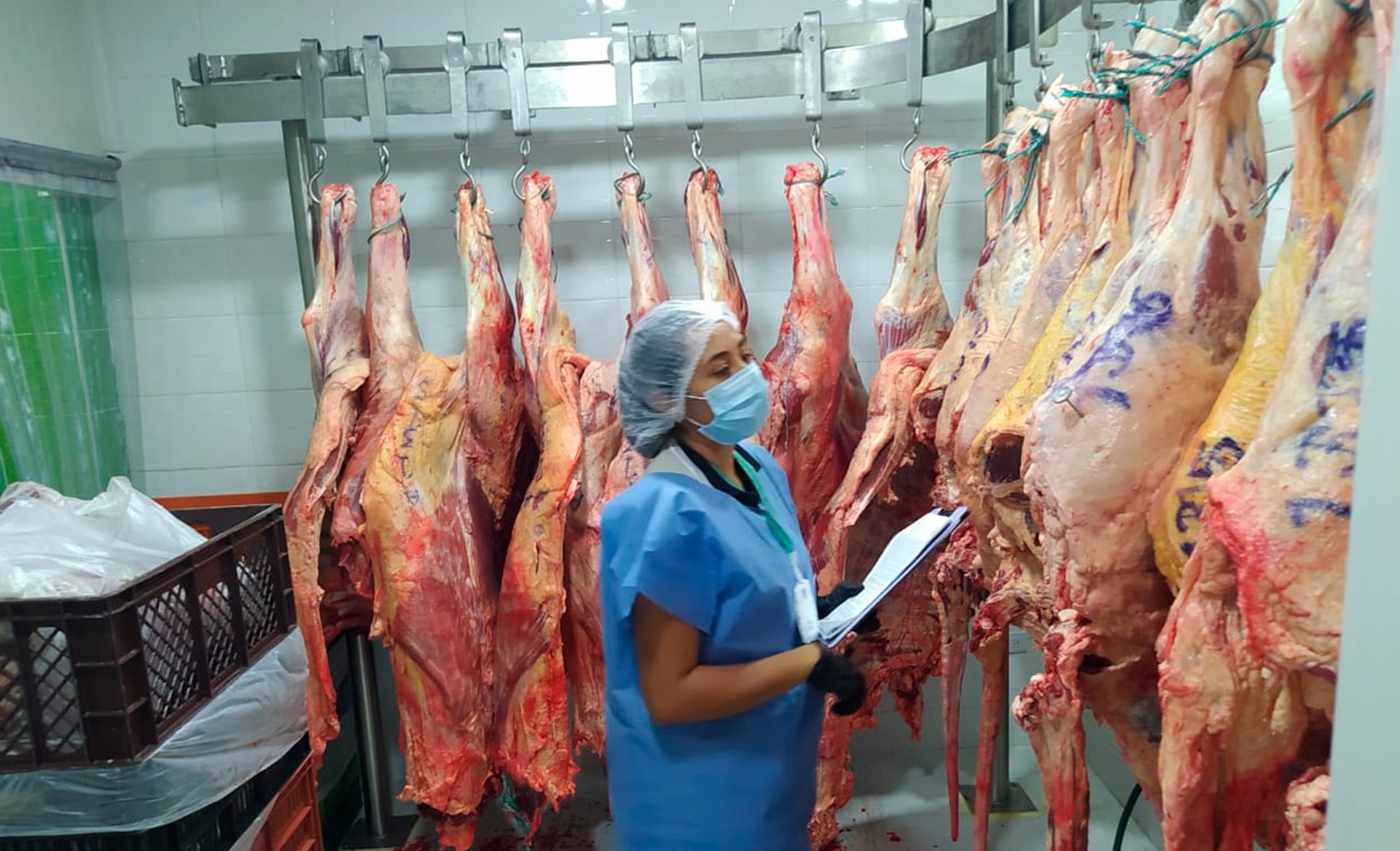 Control a comercialización ilegal de carne en restaurantes y asaderos de Acacías